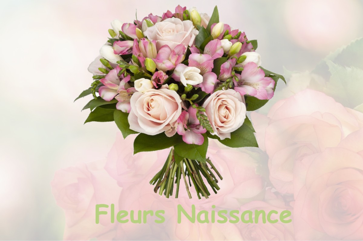 fleurs naissance LE-HANOUARD
