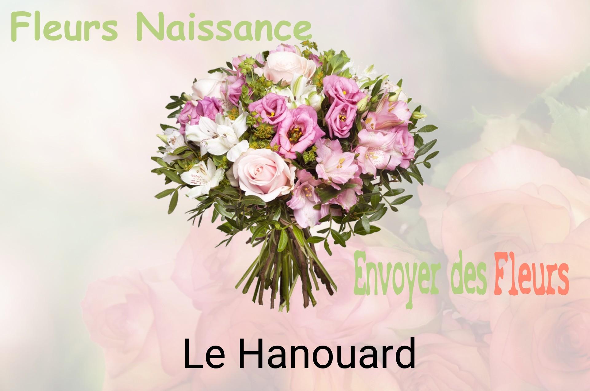 Bouquet de fleurs de naissance livré à Le Hanouard
